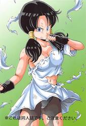 Videl LOVE