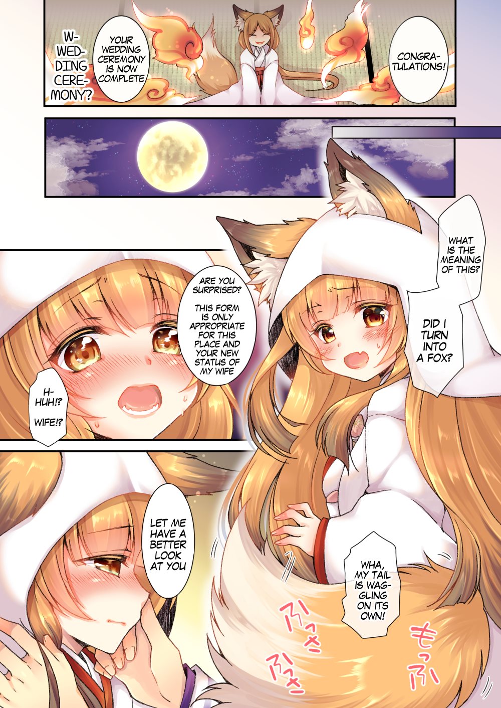 Becoming A Fox's Wife