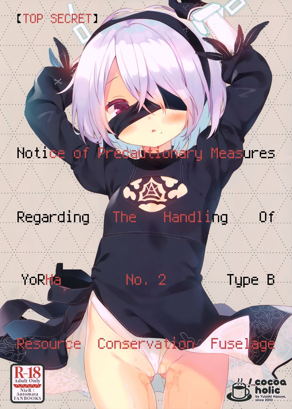 Notice Of Precautionary Measures Regarding The Handling Of YoRHa