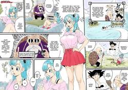 Bulma x Turtle Hermit - Last