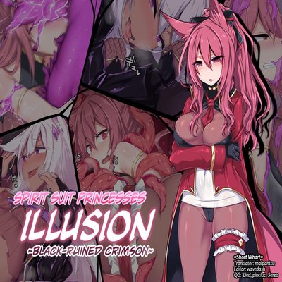 Spirit Suit Princesses Illusion ~Black-Ruined Crimson~