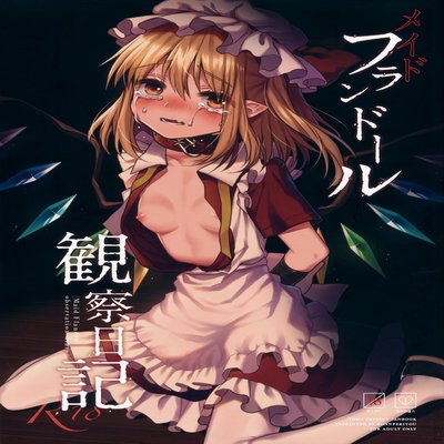 Maid Flandre Observation Diary