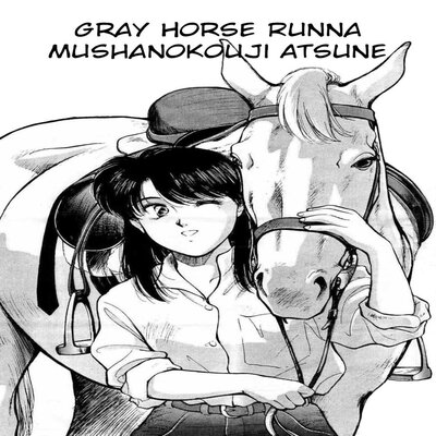 Gray Horse Runna
