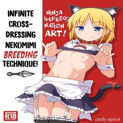 Ninja Impregnation Art: Infinite Crossdressing Nekomimi Breeding Technique! [Yaoi]