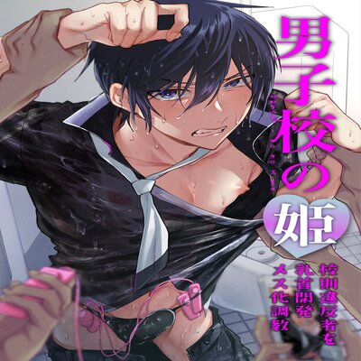 Danshikou No Hime Kousoku Ihansha O Chikubi Kaihatsu Mesu-Ka Choukyou [Yaoi]